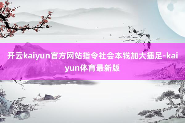 开云kaiyun官方网站指令社会本钱加大插足-kaiyun体育最新版