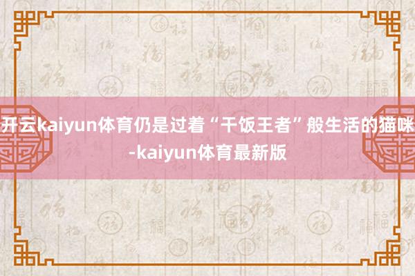 开云kaiyun体育仍是过着“干饭王者”般生活的猫咪-kaiyun体育最新版