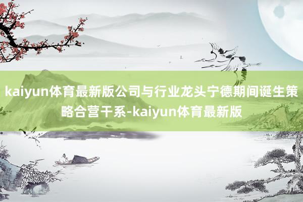 kaiyun体育最新版公司与行业龙头宁德期间诞生策略合营干系-kaiyun体育最新版
