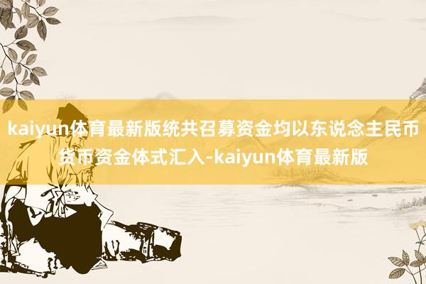 kaiyun体育最新版统共召募资金均以东说念主民币货币资金体式汇入-kaiyun体育最新版