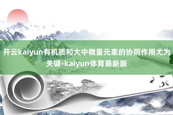开云kaiyun有机质和大中微量元素的协同作用尤为关键-kaiyun体育最新版