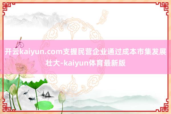 开云kaiyun.com支握民营企业通过成本市集发展壮大-kaiyun体育最新版
