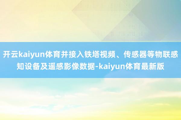 开云kaiyun体育并接入铁塔视频、传感器等物联感知设备及遥感影像数据-kaiyun体育最新版